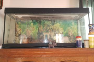 Cuve aquarium avec rampe led