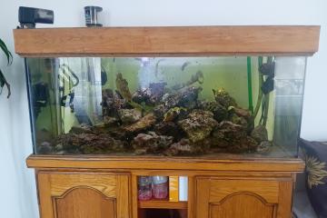 aquarium 240 litres