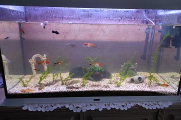 Aquarium Aquatlantis 200 litres