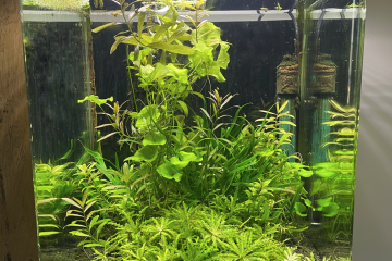Aquarium Dennerle cube 30L