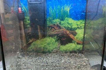 Aquarium 35L Tetra