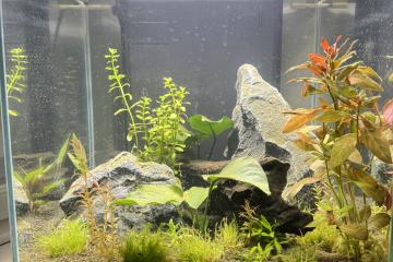 Aquarium Ciano émotions pro 40 + meuble ciano