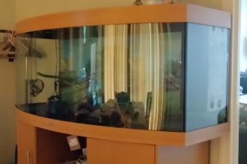 AV aquarium juwel 450 avec son meuble coueur hêtre + nbrx accessoires