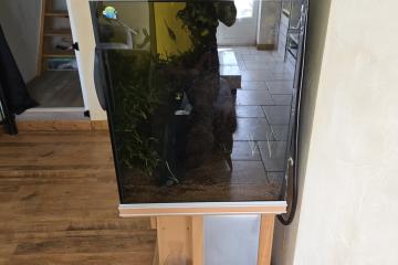 Aquarium 500l + meuble + pompes + poissons...