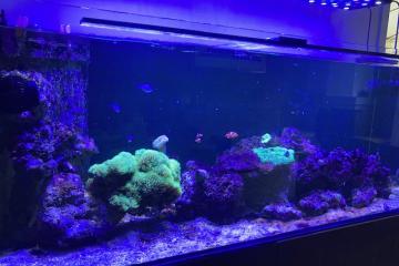 aquarimu complet eau de mer 400 L