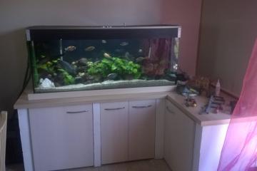 aquarium 450 litres