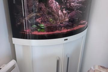 Aquarium angle juwel trigon 190 L