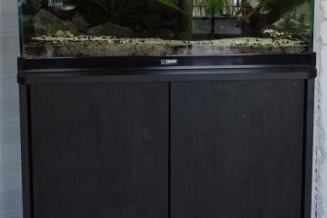 Aquarium ciano