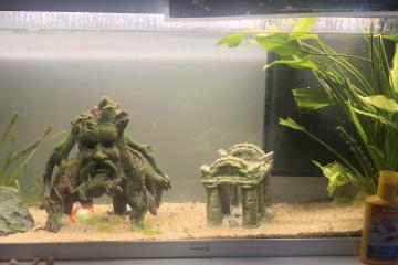 Auqarium 120L+ meuble