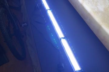 Aquarium 425 l pour Malawi