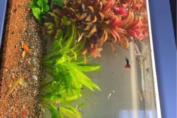 Aquarium Aquatlantis