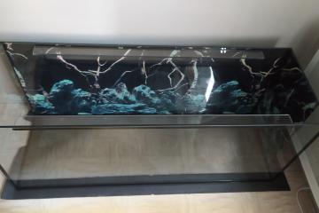 Aquarium en bon état