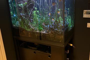 Donne aquarium 550l + meuble