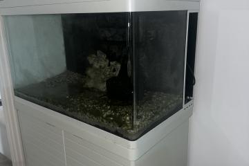 Aquarium redsea