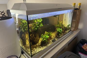 Aquarium complet et accessoires