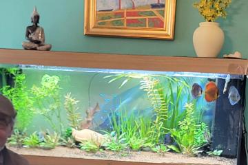 Aquarium rio juwel
