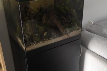 Aquarium oase plus meuble