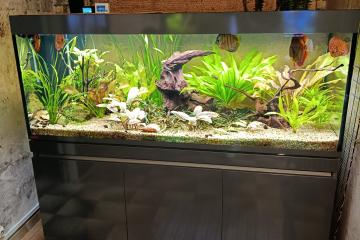 Aquarium  neuf