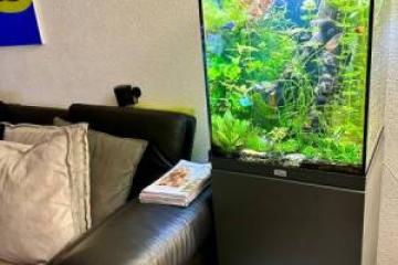 Aquarium 136 litres complet