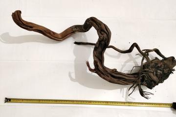lot de 2 racines spider wood