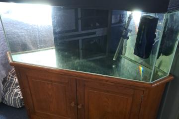 Aquarium 300L prix donné ! 🎉