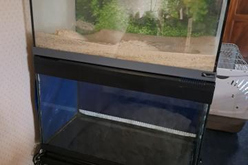 Aquarium 60L prix donné ! 🎉