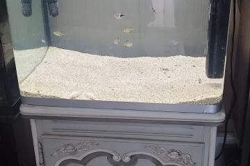 Vend aquarium 140 litres