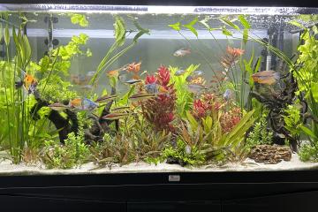 Aquarium Volga 350L