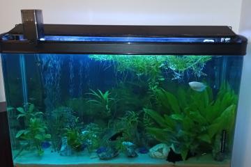 Aquarium 340 L plus meuble
