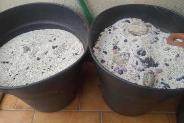 Très grande quantité de sable d'aquarium