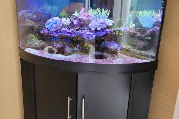 aquarim trigon 190 complet