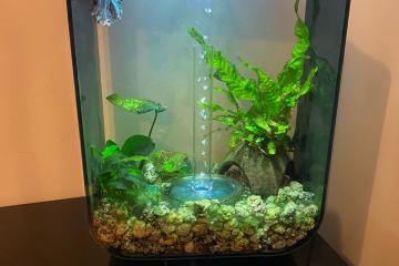 Aquarium Biorb 15 L noir
