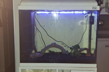 AQUADISIO 60 L