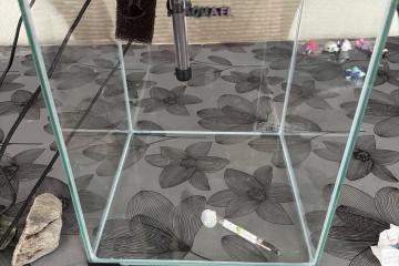 Aquarium 30 L avec racine et pierre