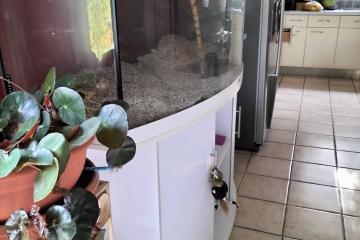 AQUARIUM JEWEL ET SON MEUBLE