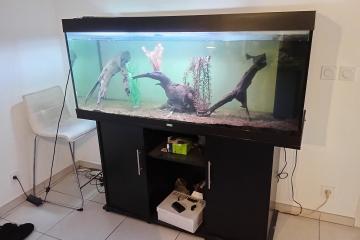 Aquarium Juwel 500 litres