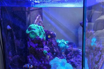 Aquarium marin RedSea 180 L