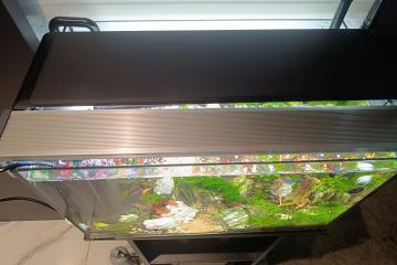 Aquarium complet avec meuble bien équipée