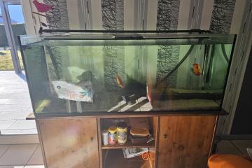 Aquarium 400l