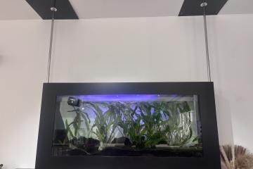 Aquarium suspendu