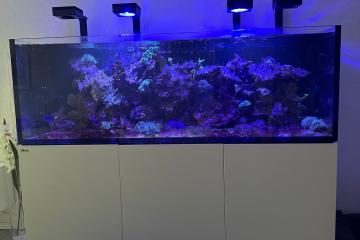 Aquarium eau de mer 750L / set complet + matériel