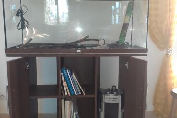 a vendre aquarium juwel rio 180 led et meuble