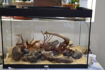 Aquarium aquatlantis 180 l