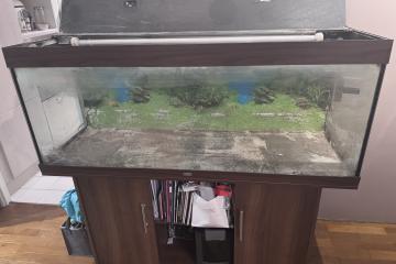 Aquarium EHEIM Rio 400 L avec meuble + filtre EHEIM Pro 3 (2073)