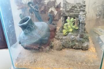 Aquarium 60 litres d'eau aoese et plus petit aquarium aussi