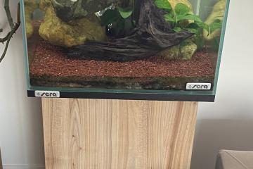 Aquarium colonne Sera
