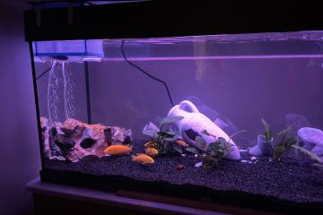 Bac 180 L Juwel tout equipe