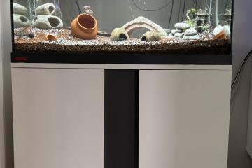 Ensemble complet Aquarium EHEIM 126L + Meuble
