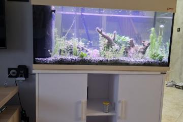 Aquarium 200l sur meuble