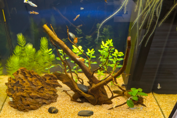 AQUARIUM JUWEL 120 LIDO - ACHAT FIN 2025